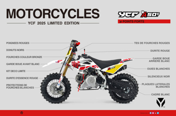 PIT BIKE - YCF 50A LIMITED – BLANCHE – Image 2