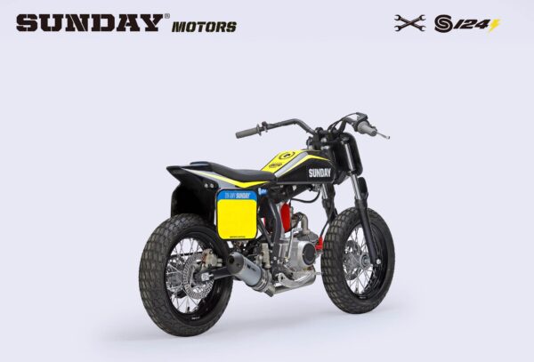 FLAT TRACK BIKE – S 124E – Image 2