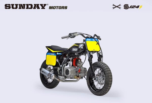 FLAT TRACK BIKE – S 124E – Image 3