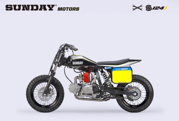 FLAT TRACK BIKE – S 124E – Image 4