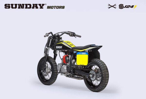 FLAT TRACK BIKE – S 124E – Image 6