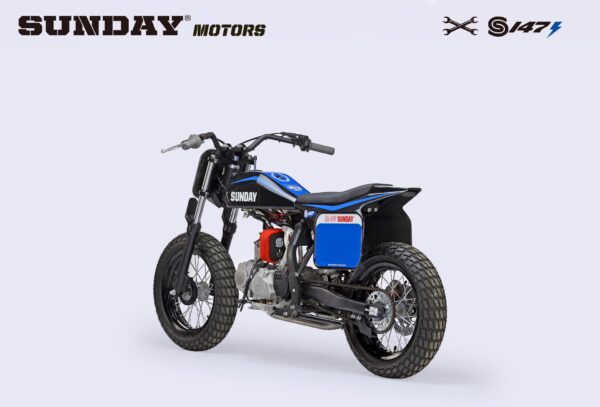 FLAT TRACK BIKE – S 147 – Image 6